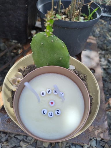 Vela Encanto - Velas aromáticas inspiradas en la magia del paisaje colombiano